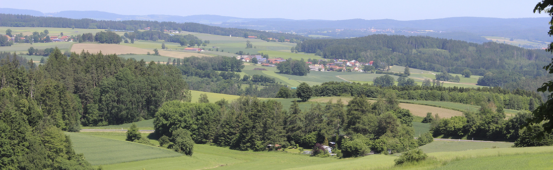 Landschaft